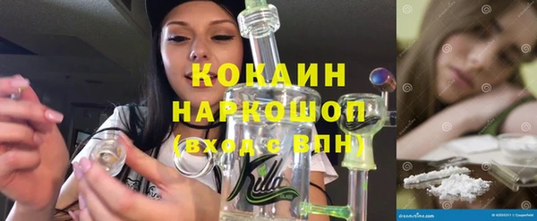 шишки Абинск