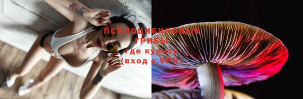 mix Абаза