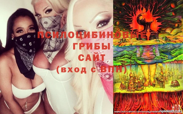 альфа пвп Алексеевка
