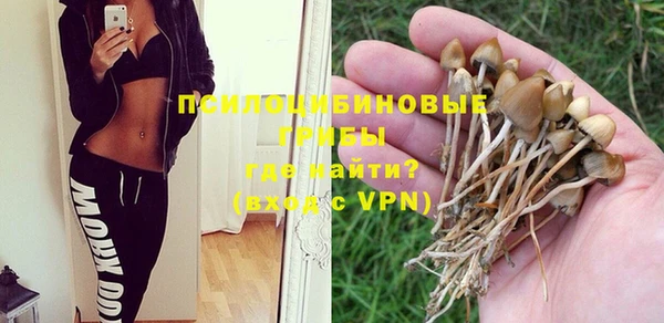 шишки Абинск